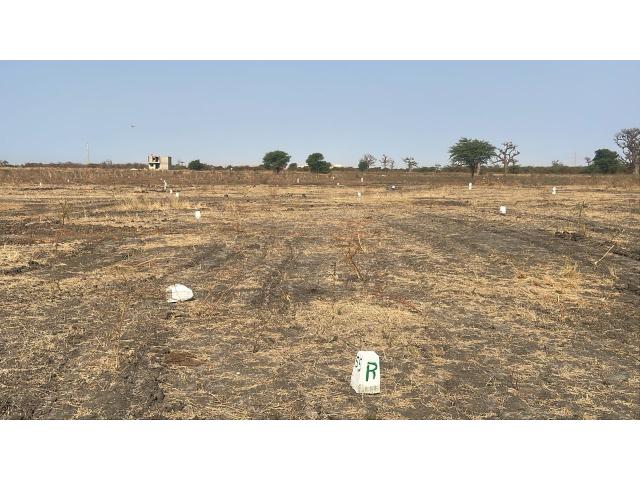 Photo Terrain de 150 mètres carrés à vendre à Yenn Sénégal image 2/2