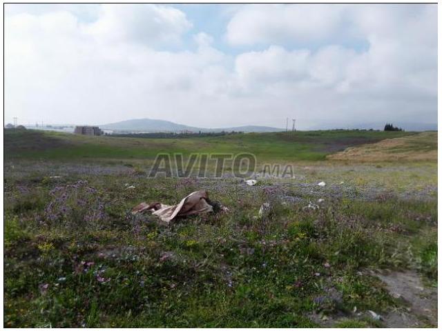 Photo Terrain de 18000 m2 Boukhalef image 2/2