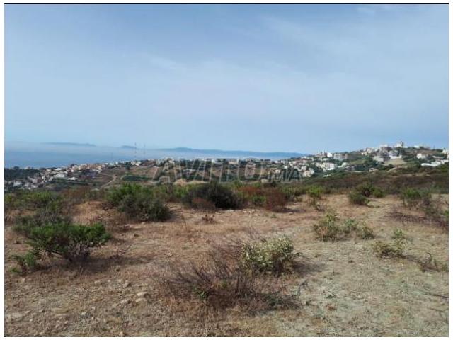Photo Terrain de 2200 m2 M nar image 2/4