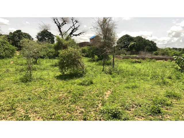 Photo Terrain de 225 mètres carrés à vendre à Saly Sénégal image 2/4