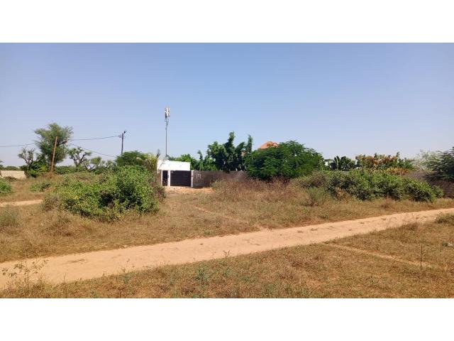 Photo Terrain de 225 mètres carrés à vendre à Saly Sénégal image 2/4