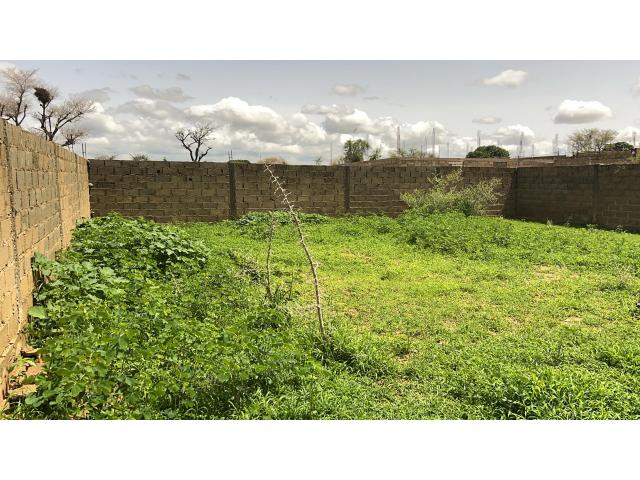 Photo Terrain de 229 mètres carrés à vendre à Nguékhokh Sénégal image 2/4