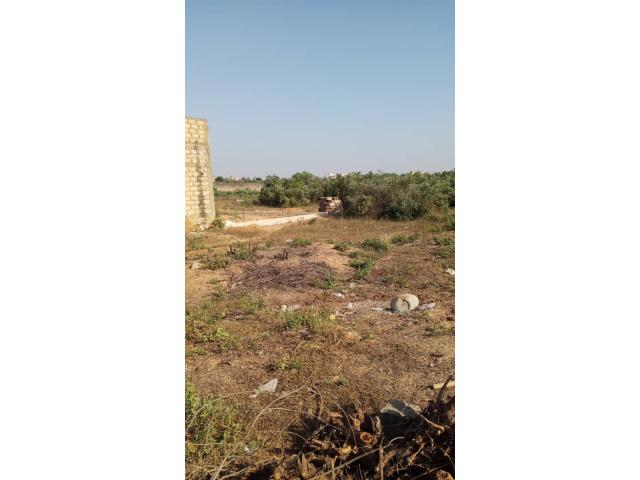 Photo Terrain de 250 mètres carrés à vendre à Gandigal  Sénégal image 2/4