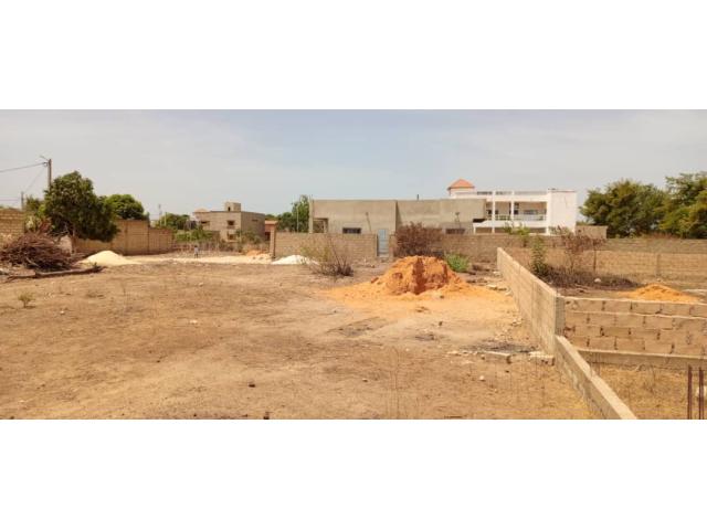 Photo terrain de 271 metres carres a saly image 2/3
