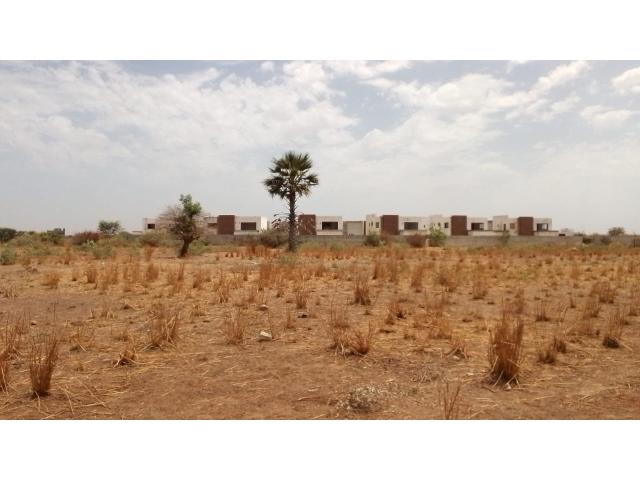 Photo Terrain de 280 mètres carrés à vendre à Saly Sénégal image 2/4
