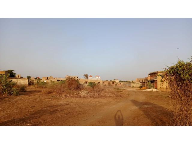 Photo Terrain de 290 mètres carrés à vendre à Gandigal Sénégal image 2/4