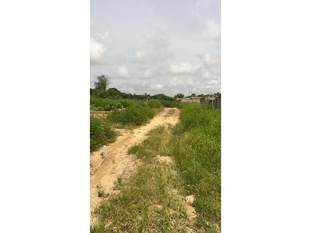 Photo Terrain de 297 mètres carrés à vendre à Ngaparou Sénégal image 2/4