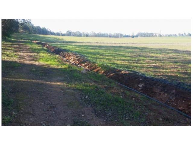 Photo terrain de 3 hectares 140dh M2 a sidi Rahhal image 2/2