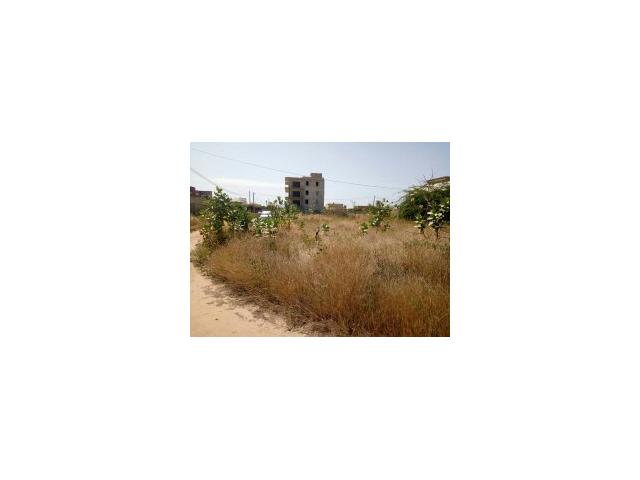 Photo TERRAIN DE 300 M2 A LA SOMONE image 2/3