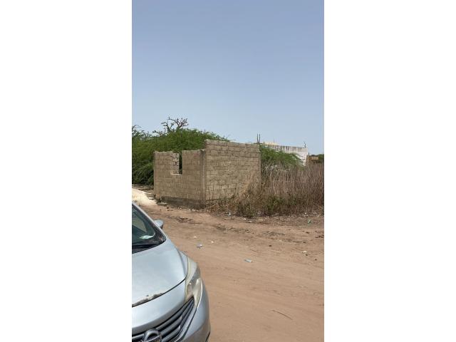 Photo terrain de 300 metres carres a nguekhokh image 2/4