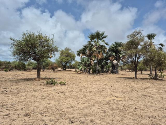 Photo Terrain de 300 mètres carrés à vendre à Ndangane Sénégal image 2/4