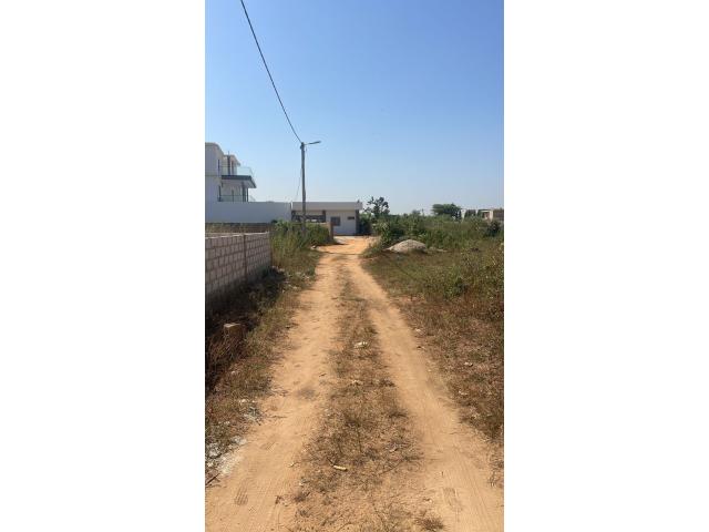 Photo Terrain de 300 mètres carrés à vendre à Ndiourokh Sénégal image 2/3