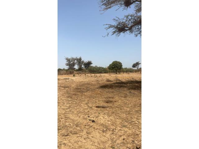 Photo Terrain de 300 mètres carrés à vendre à Nguékhokh Sénégal image 2/3