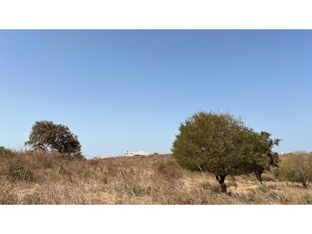 Photo Terrain de 300 mètres carrés à vendre à Popenguine Sénégal image 2/4