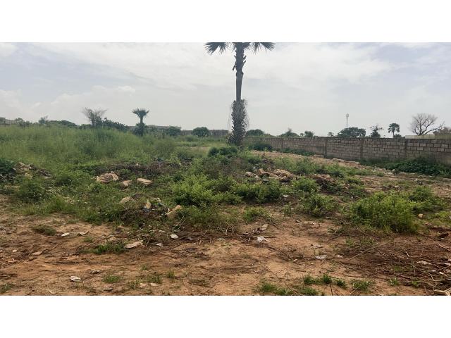 Photo Terrain de 300 mètres carrés à vendre à Saly Sénégal image 2/3