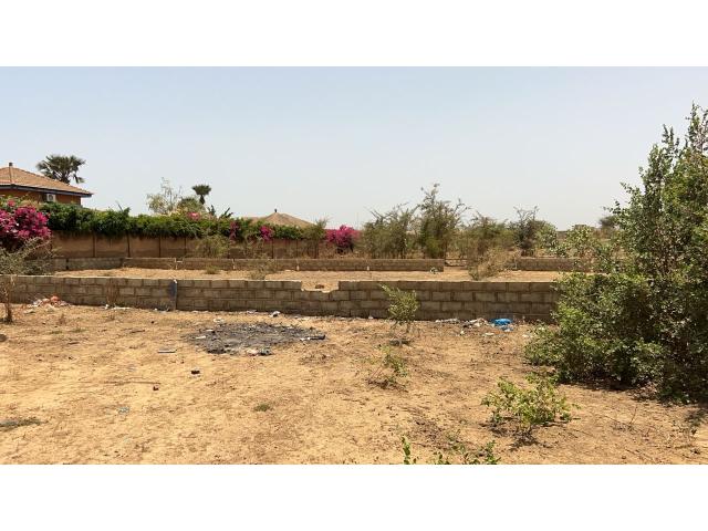 Photo Terrain de 300 mètres carrés à vendre à Saly Sénégal image 2/4