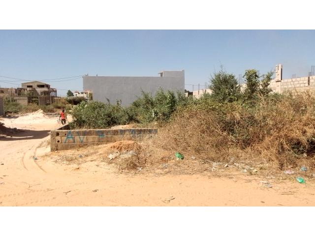 Photo Terrain de 300 mètres carrés à vendre à Saly Sénégal image 2/4