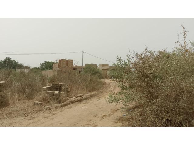 Photo Terrain de 300 mètres carrés à vendre à Saly Sénégal image 2/4