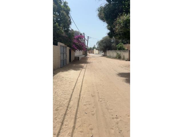 Photo Terrain de 300 mètres carrés à vendre à Saly Sénégal image 2/4