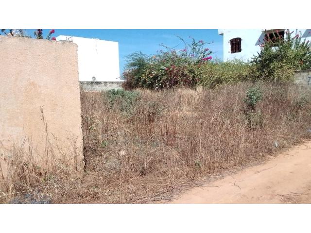 Photo Terrain de 300 mètres carrés à vendre à Somone Sénégal image 2/6