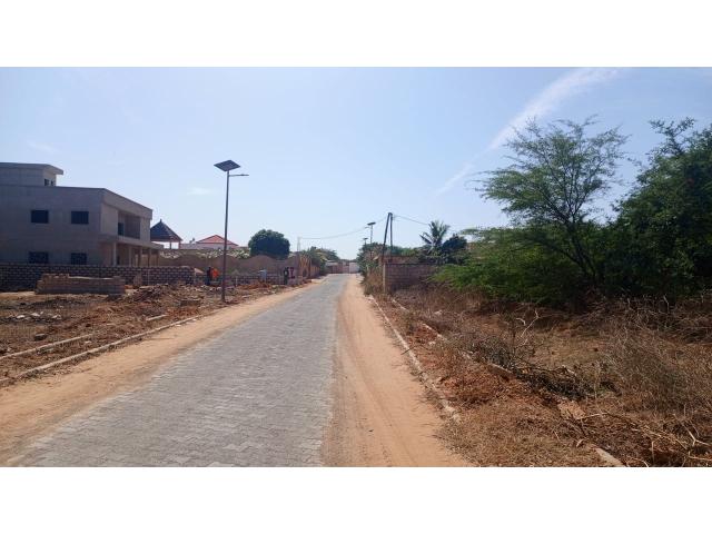 Photo Terrain de 300 mètres carrés à vendre à Somone Sénégal image 2/4