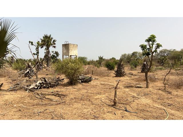 Photo Terrain de 323 mètres carrés à vendre à Saly Sénégal image 2/4
