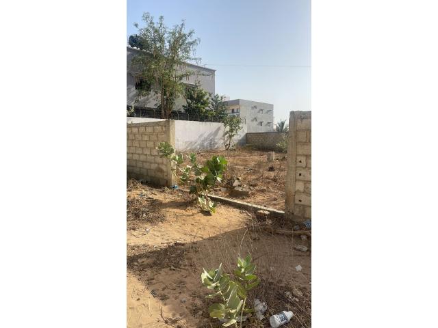 Photo terrain de 400 metres carres a saly image 2/5