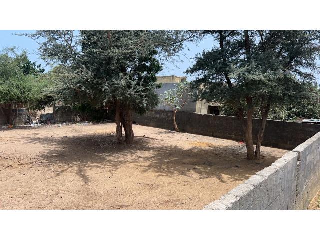 Photo Terrain de 400 mètres carrés à vendre à Saly Sénégal image 2/4