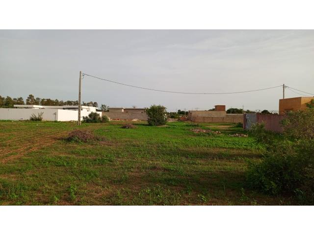 Photo Terrain de 450 mètres carrés à vendre à Nguérigne Sénégal image 2/3