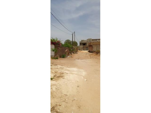 Photo terrain de 500 metres carres a saly image 2/4