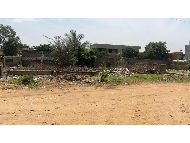Photo Terrain de 500 mètres carrés à vendre à Mbour Sénégal image 2/3