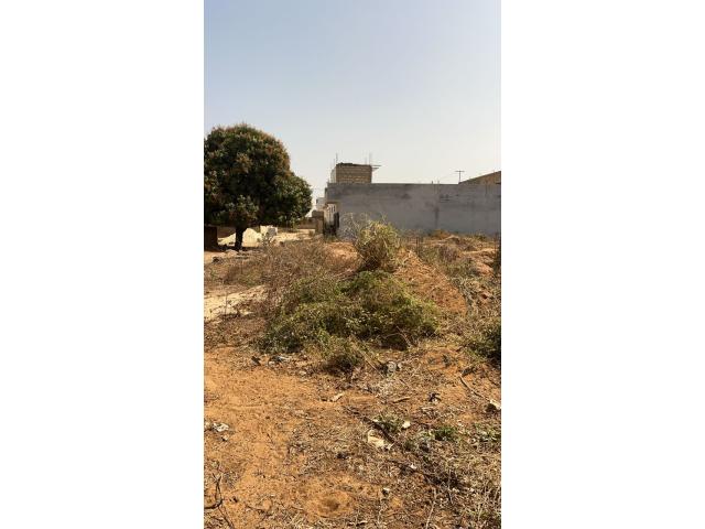 Photo Terrain de 500 mètres carrés à vendre à Nguékhokh Sénégal image 2/4