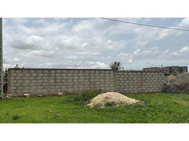 Photo Terrain de 500 mètres carrés à vendre à Nguékhokh Sénégal image 2/3