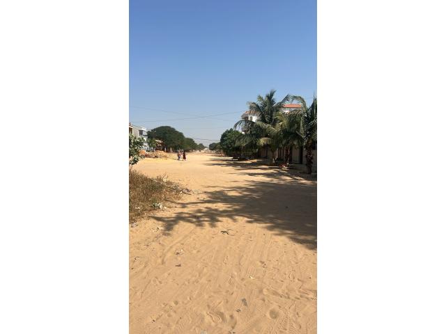Photo Terrain de 5000 mètres carrés à vendre à Mbour Sénégal image 2/4