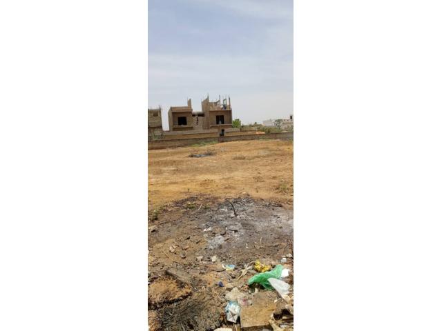 Photo terrain de 600 metres carres a saly image 2/4