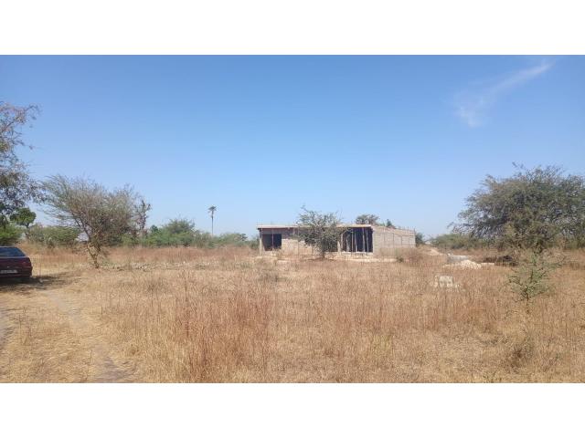 Photo Terrain de 600 mètres carrés à vendre à Mbodiène Sénégal image 2/4