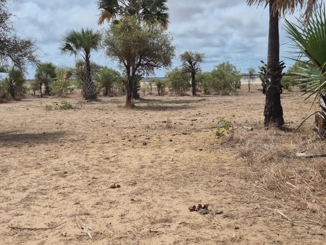 Photo Terrain de 600 mètres carrés à vendre à Ndayane Sénégal image 2/4