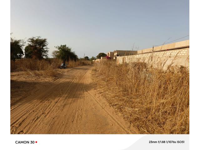 Photo Terrain de 600 mètres carrés à vendre à Popenguine Sénégal image 2/3