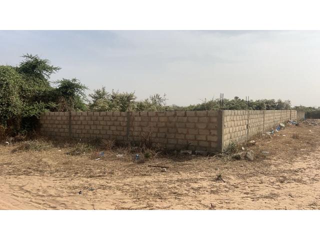Photo Terrain de 600 mètres carrés à vendre à Saly Sénégal image 2/4