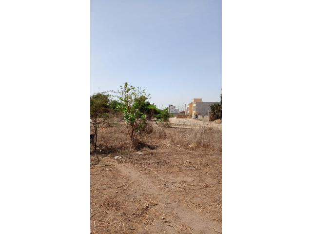 Photo Terrain de 600 mètres carrés à vendre Saly Sénégal image 2/4