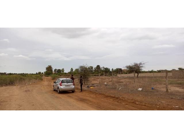 Photo Terrain de 800 mètres carrés délibération à Saly image 2/5