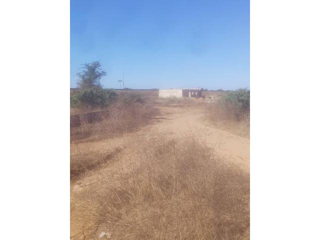 Photo terrain de 900 metres carres a mbour, gandigal image 2/5