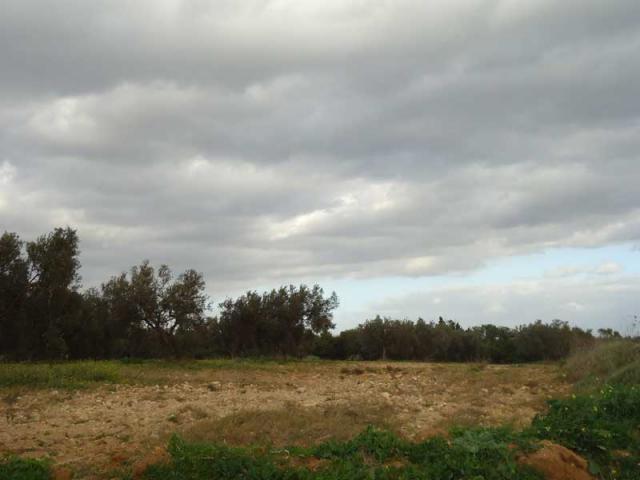 Photo TERRAIN EL HAMMAMET OCIANA image 2/2