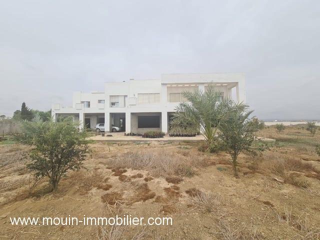 Photo Terrain et Villa Nasr 2 av T970 à Hammamet Sud image 2/6