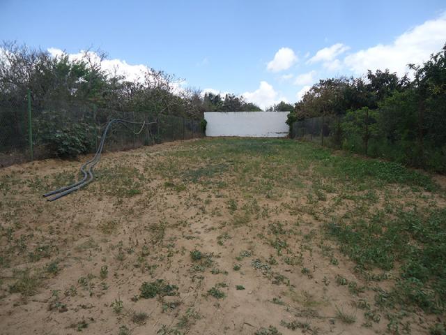 Photo TERRAIN GRENADINE 1 image 2/2
