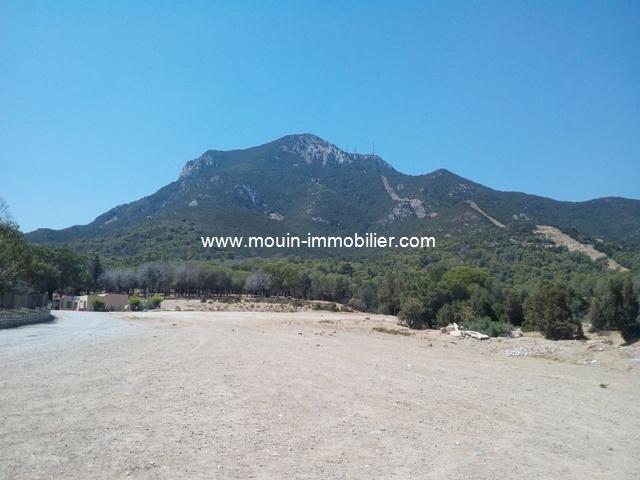 Photo Terrain Hammam Lif réf T660 ben Arous image 2/2