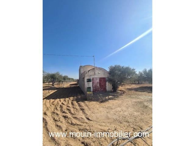 Photo Terrain Iram T1084 Hammamet image 2/3
