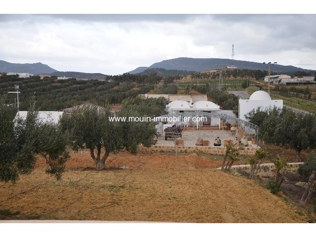 Photo TERRAIN JIHEN Birbouregba T334 image 2/3