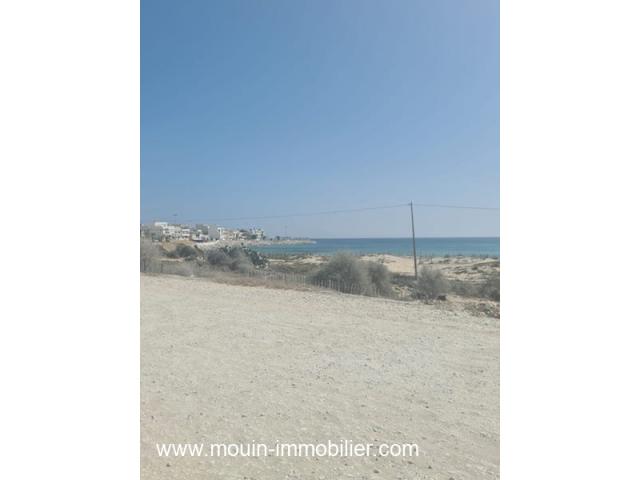 Photo TERRAIN JINEN BENI KHIAR I T1111 image 2/3