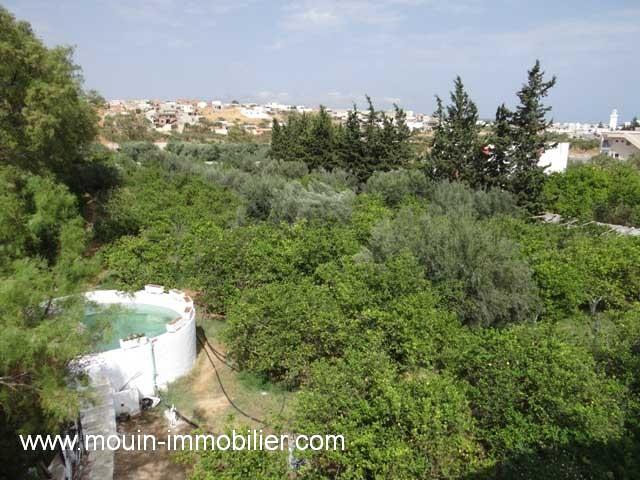Photo TERRAIN LARA 2 Sidi Hammed T841 image 2/3